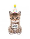 Balon foliowy Kotek Cue The Catfetti Cat