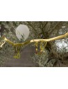 Girlanda na 30 urodziny, 250 cm