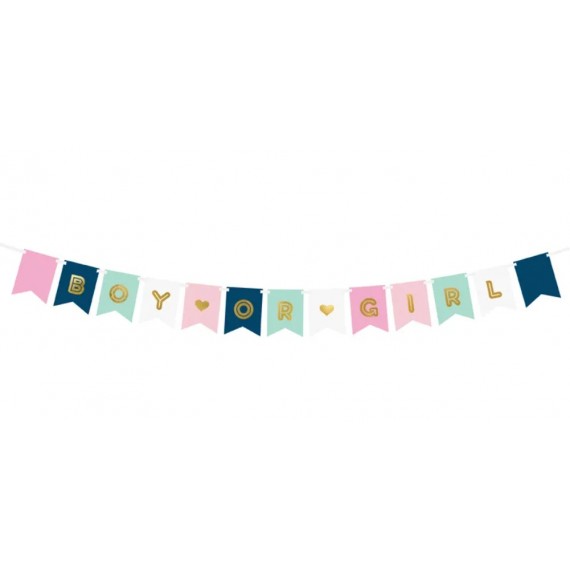 Baner Boy or Girl, mix, 15 x 175 cm