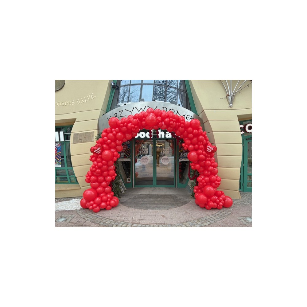 Brama z balonów organiczna XL