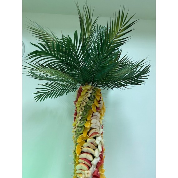 Palma owocowa - wypożyczenie / usługa